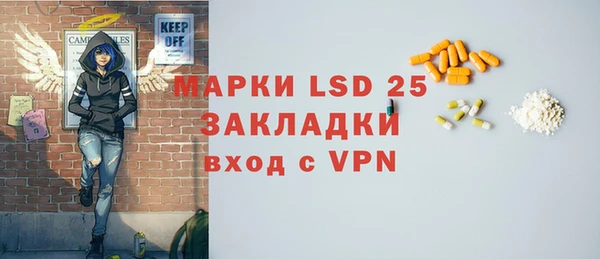 шишки Няндома