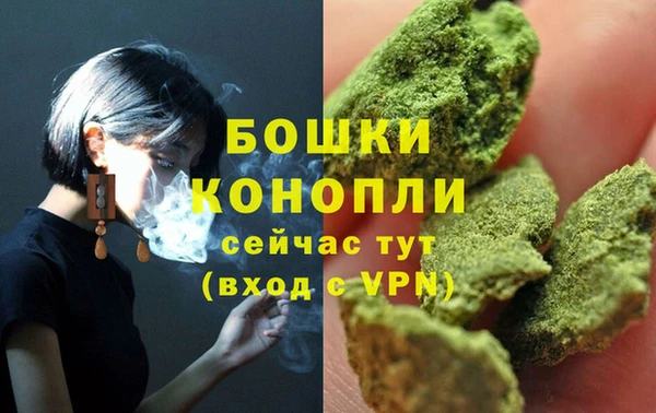 соль ск Верхний Тагил